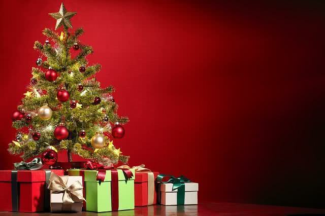 Sonhar com árvore de Natal - Teu Sonhar